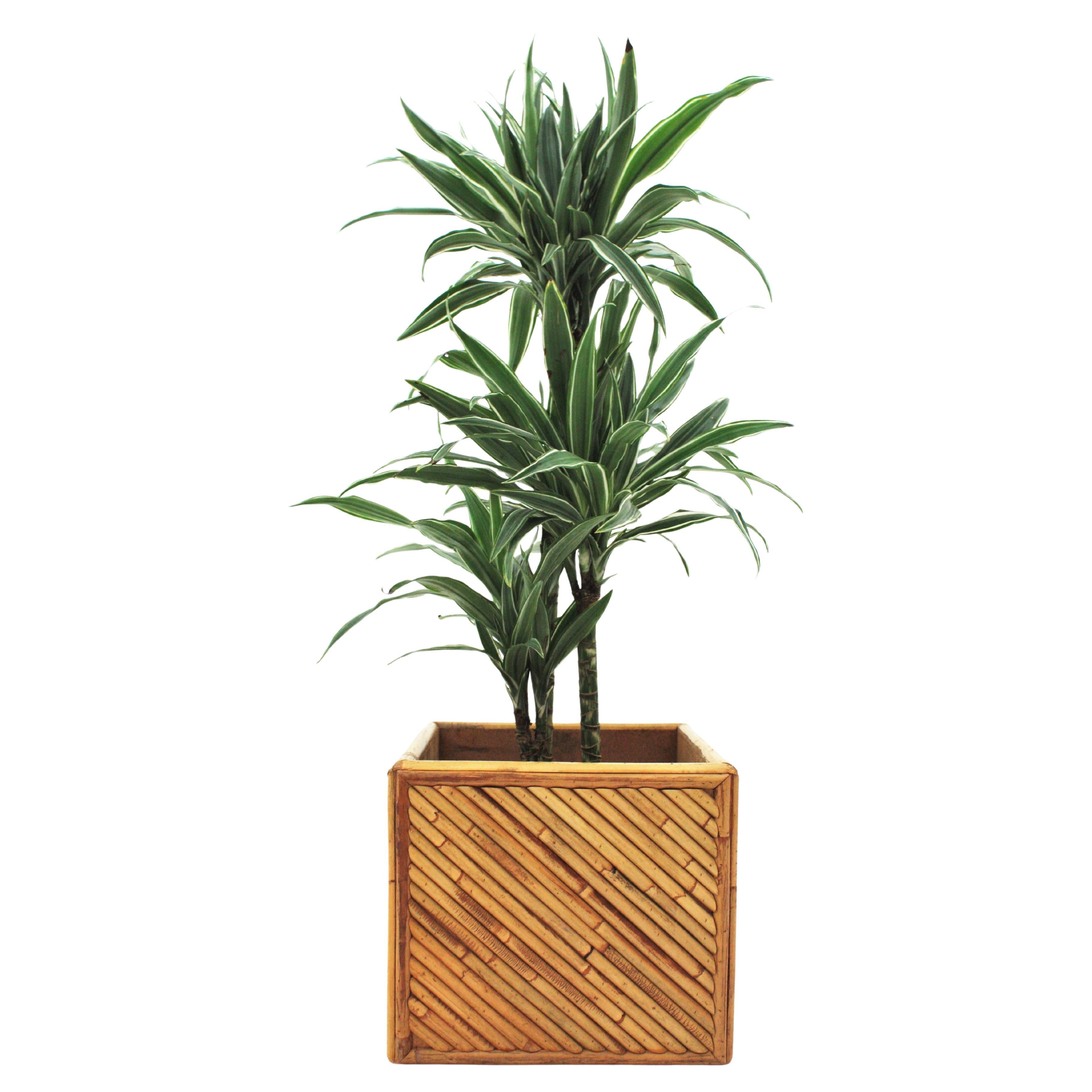 Italian Split Reed Rattan Bamboo Gabriella Crespi Style Planter, 1970 For Sale
