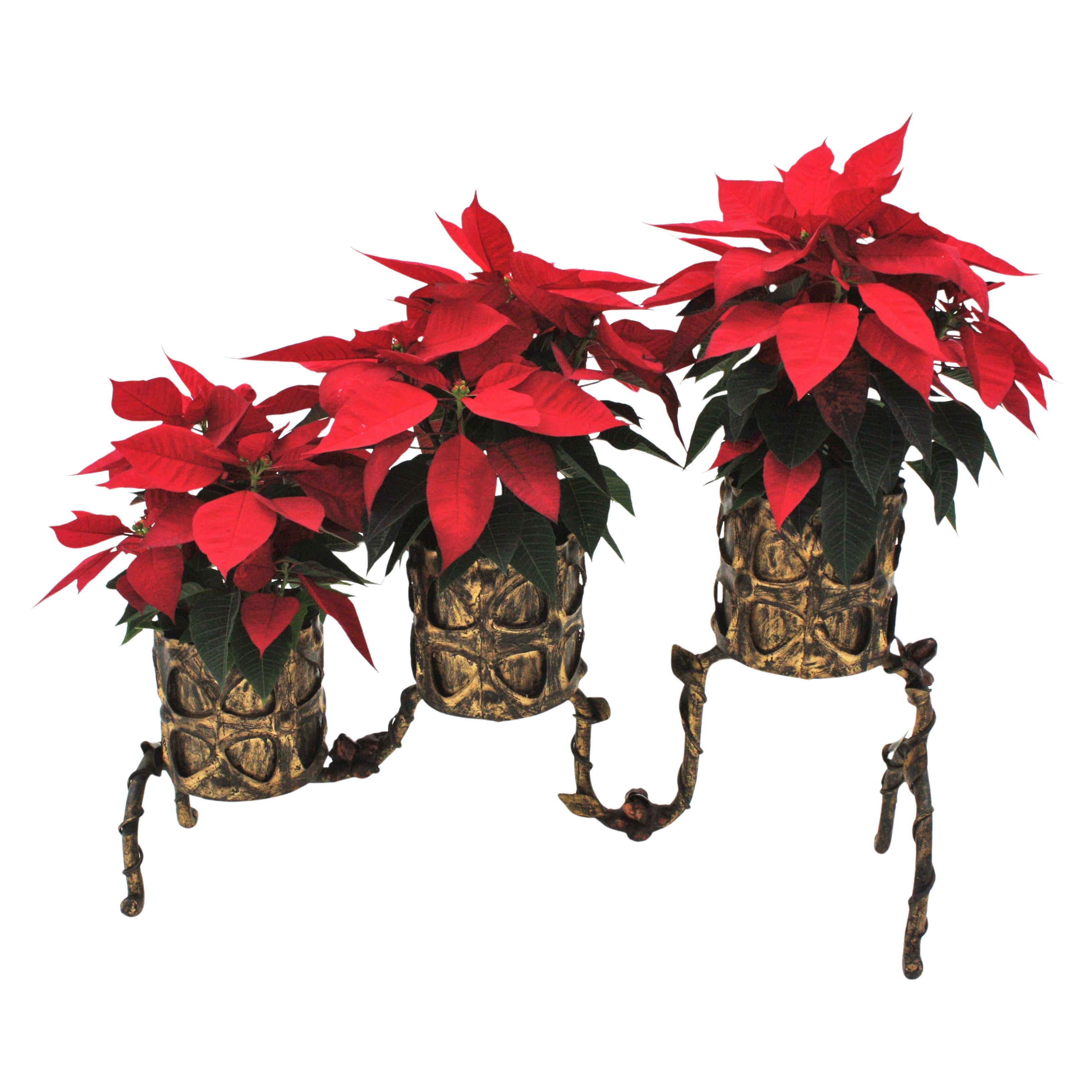 Jardinière espagnole en fer doré / Stand pour trois plantes avec motifs floraux, années 1950