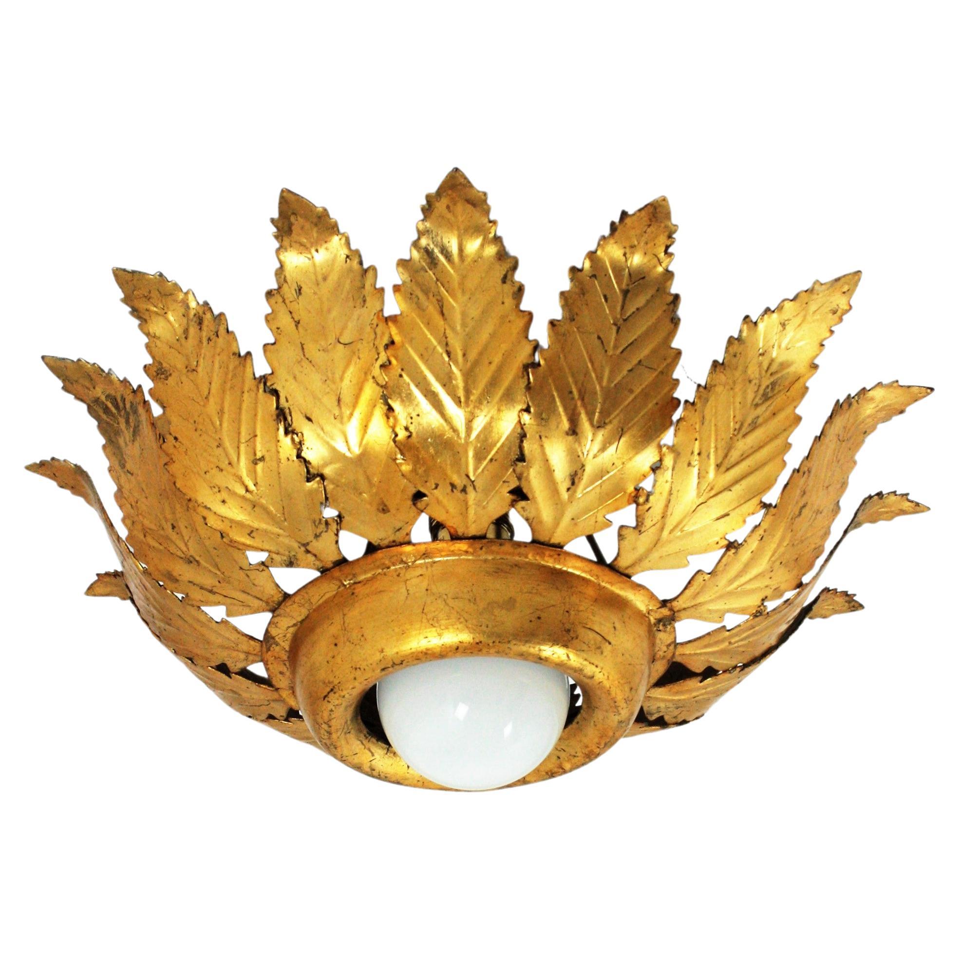 Sunburst Crown Leafed Light Fixture in Gilt Iron, Spain 1950s