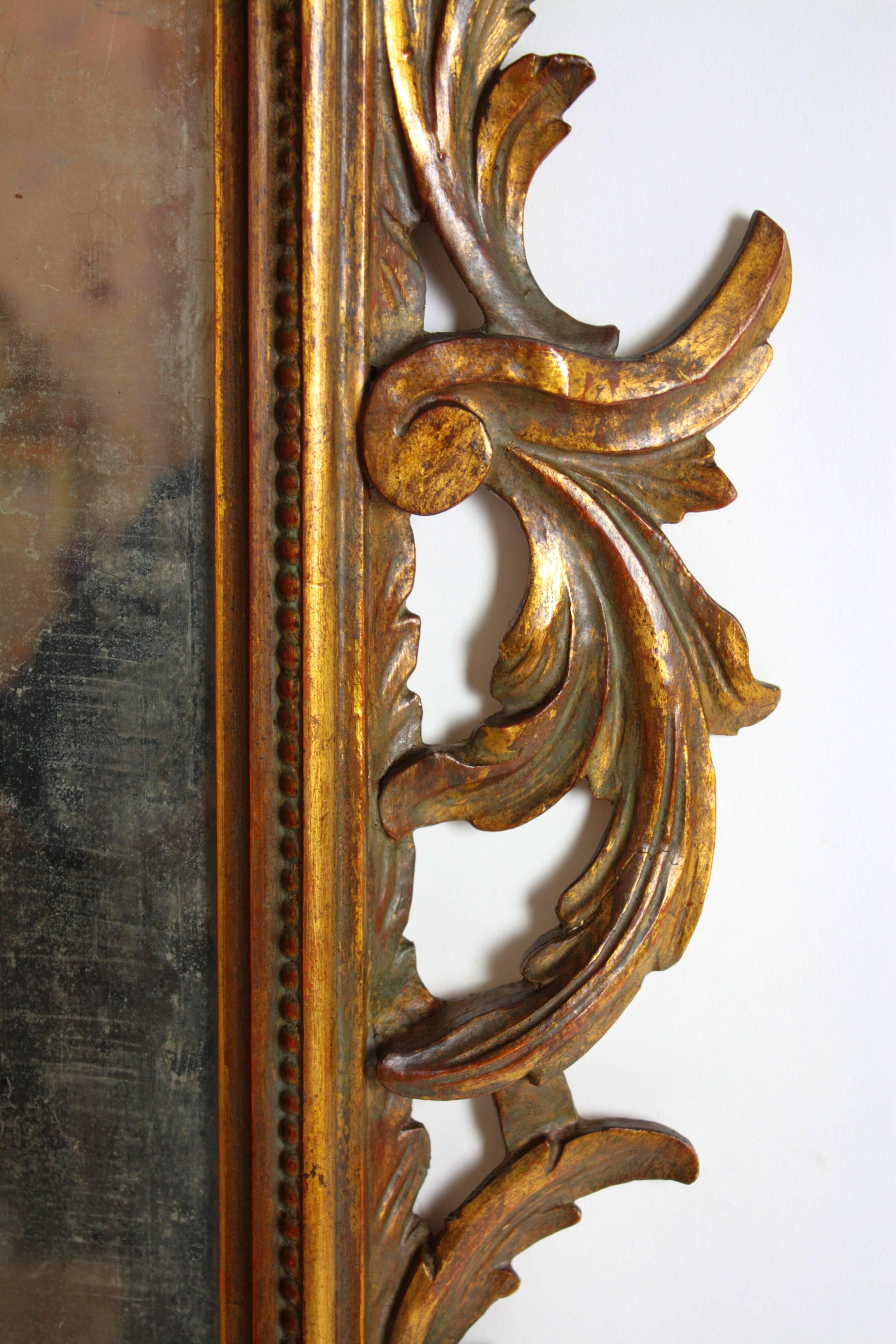 19th Century Spanish Rococo Style Giltwood Mirror 5
