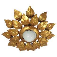Spanish Sunburst Light Fixture with Double Leafed Frame, Gilt Iron