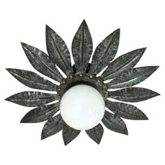 Sunburst Light Fixture in Silvered Iron with Milk Glass Globe, 1950s
