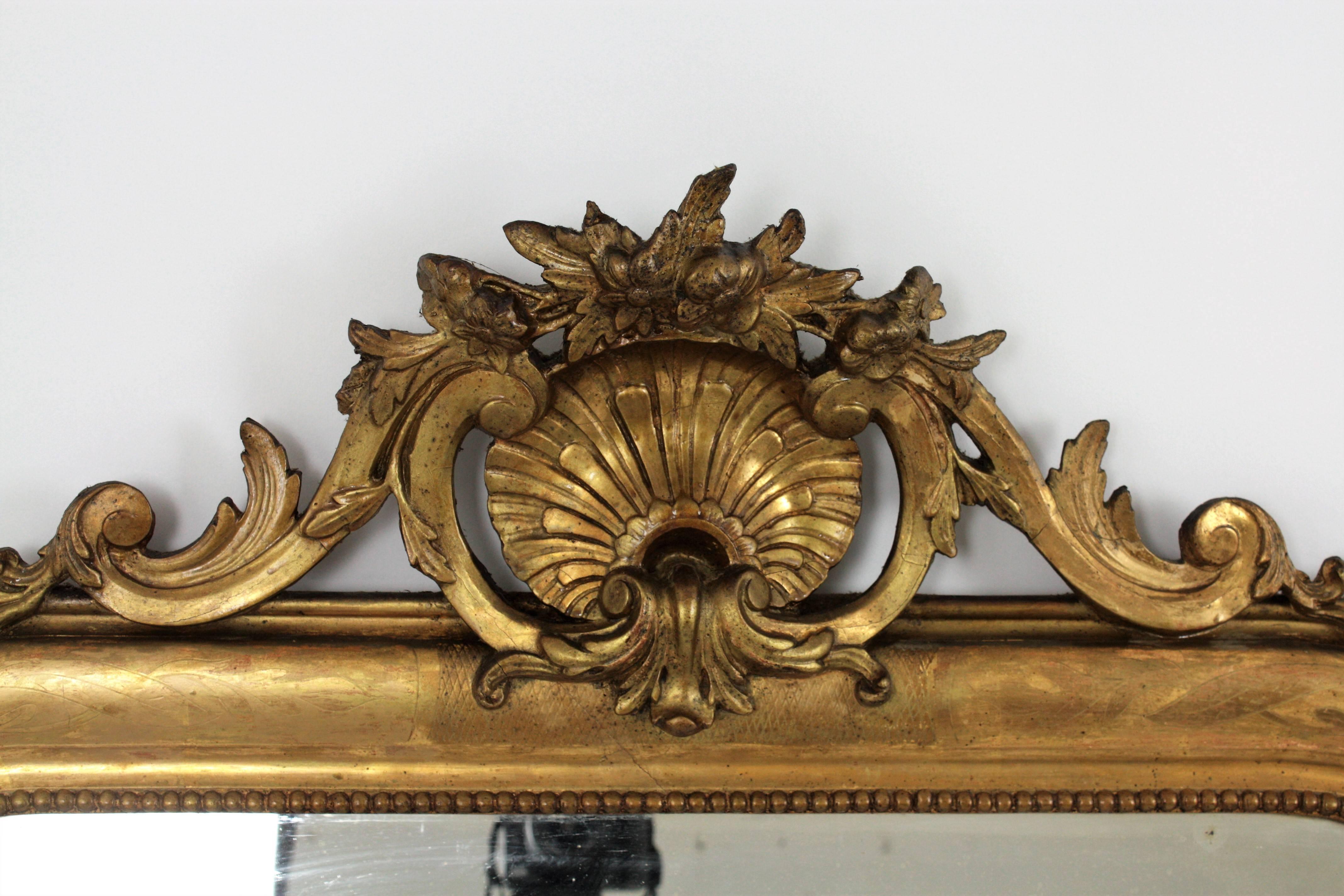 Antique French 19th Century Louis Philippe Gold Leaf Giltwood Coquille Mirror 1