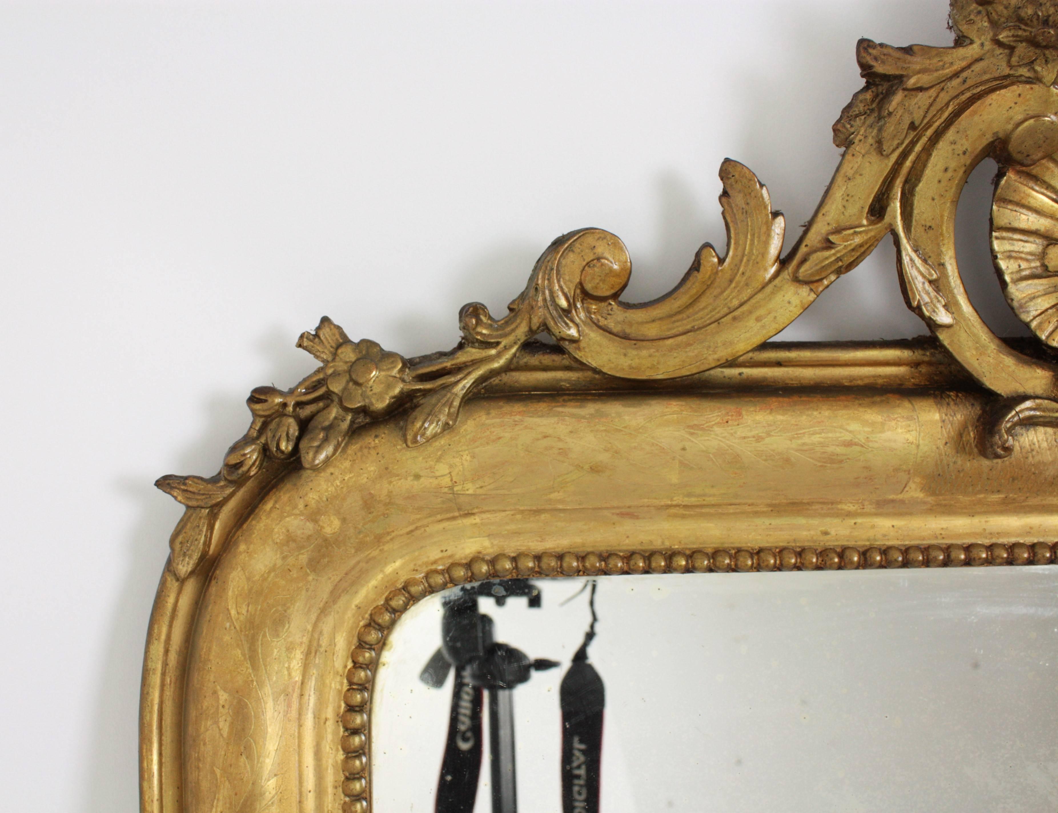 Antique French 19th Century Louis Philippe Gold Leaf Giltwood Coquille Mirror 3