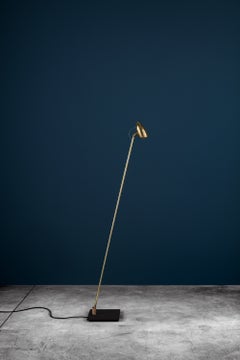 Floor Lamp, LED Brass Lamp with Frosted Glass Lens, Enzo Catellani, Italy