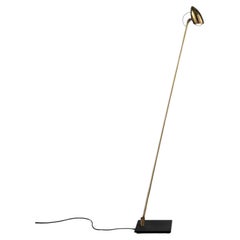 Floor Lamp, LED Brass Lamp with Frosted Glass Lens, Enzo Catellani, Italy
