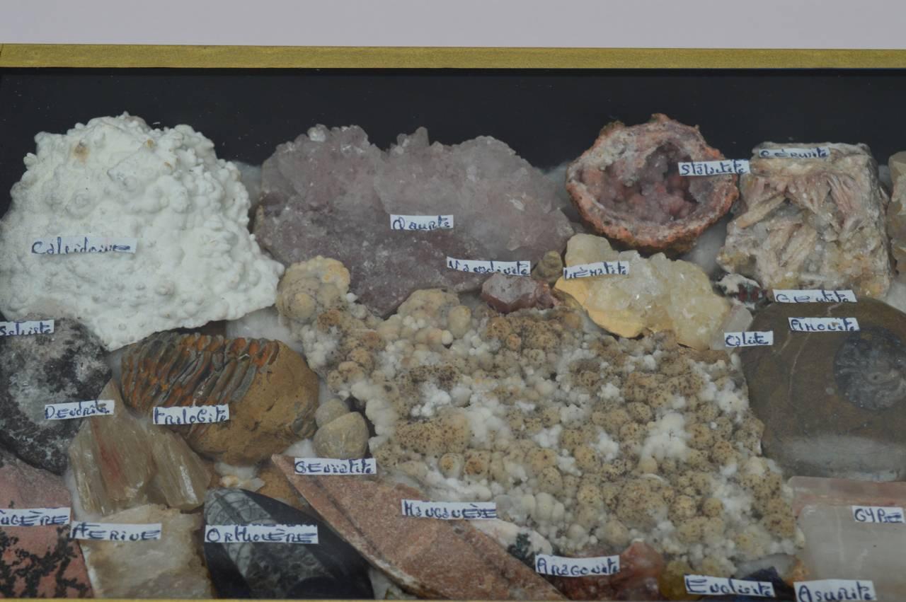 Vintage 1970s rock and mineral and fossil collection in a display box with glass top. Probably a student project. Would be an interesting desk or bookcase object.