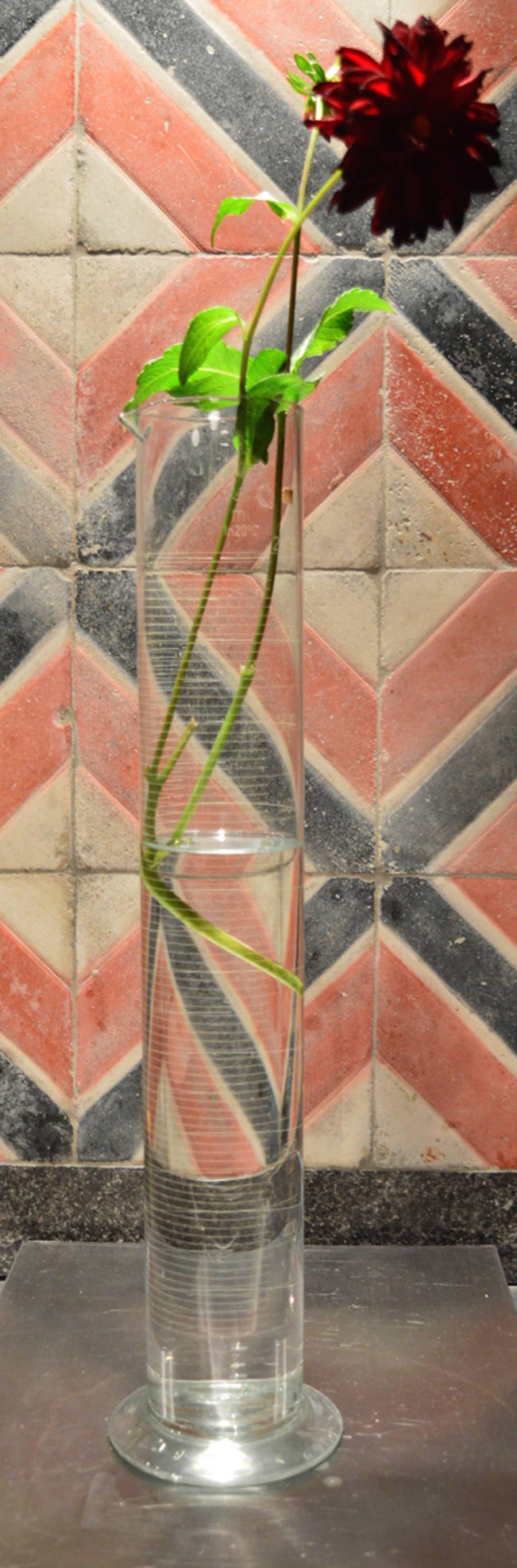 Antique Belgian Glass Chemistry Beaker Vases at 1stDibs