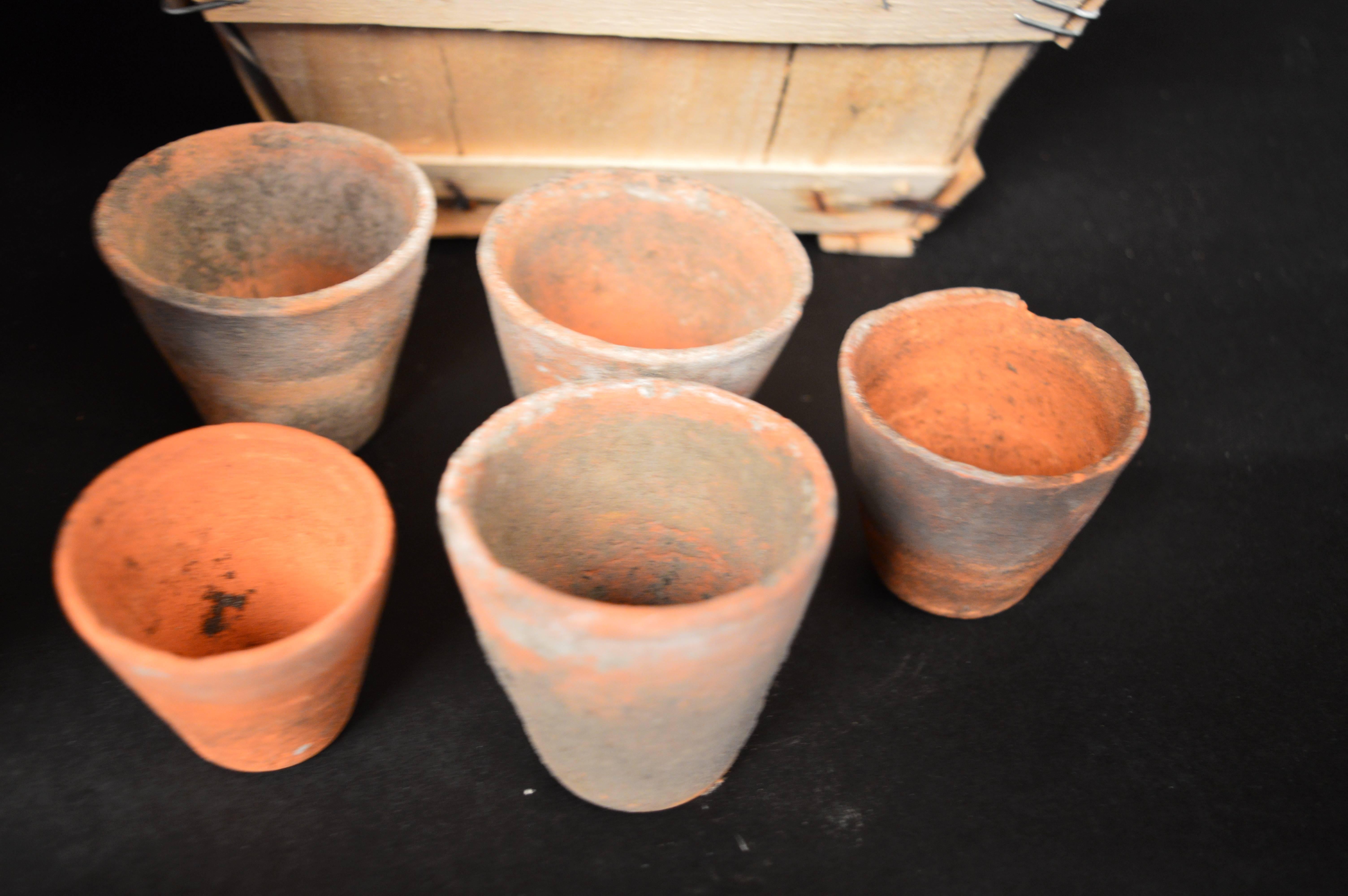 Group of 225 French Terracotta Seedling Pots, circa 1900 In Distressed Condition In Antwerp, BE