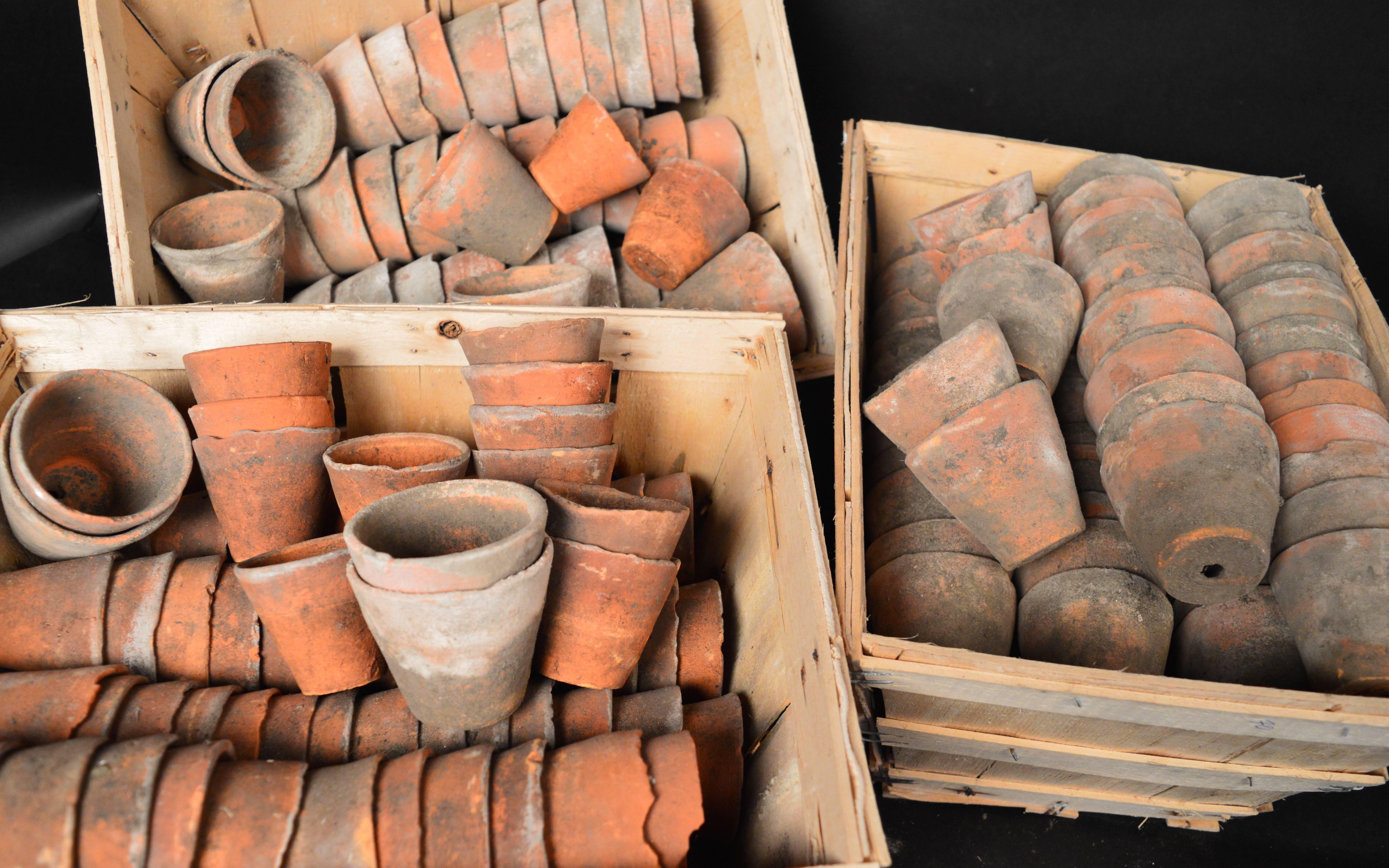 Group of 225 French Terracotta Seedling Pots, circa 1900 1