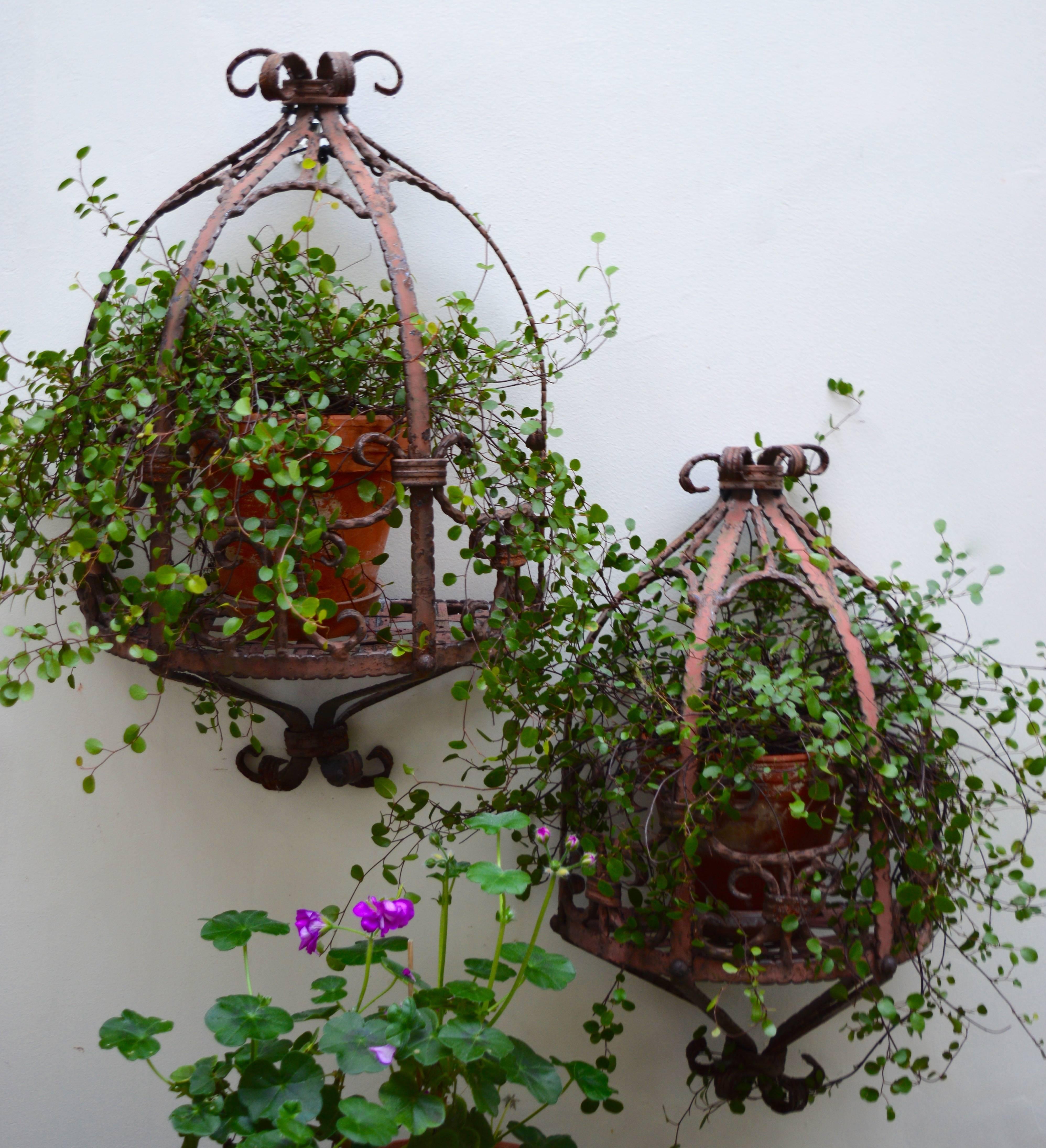 Two Wrought Iron Hanging Shelves or Plant Stands In Good Condition In Antwerp, BE
