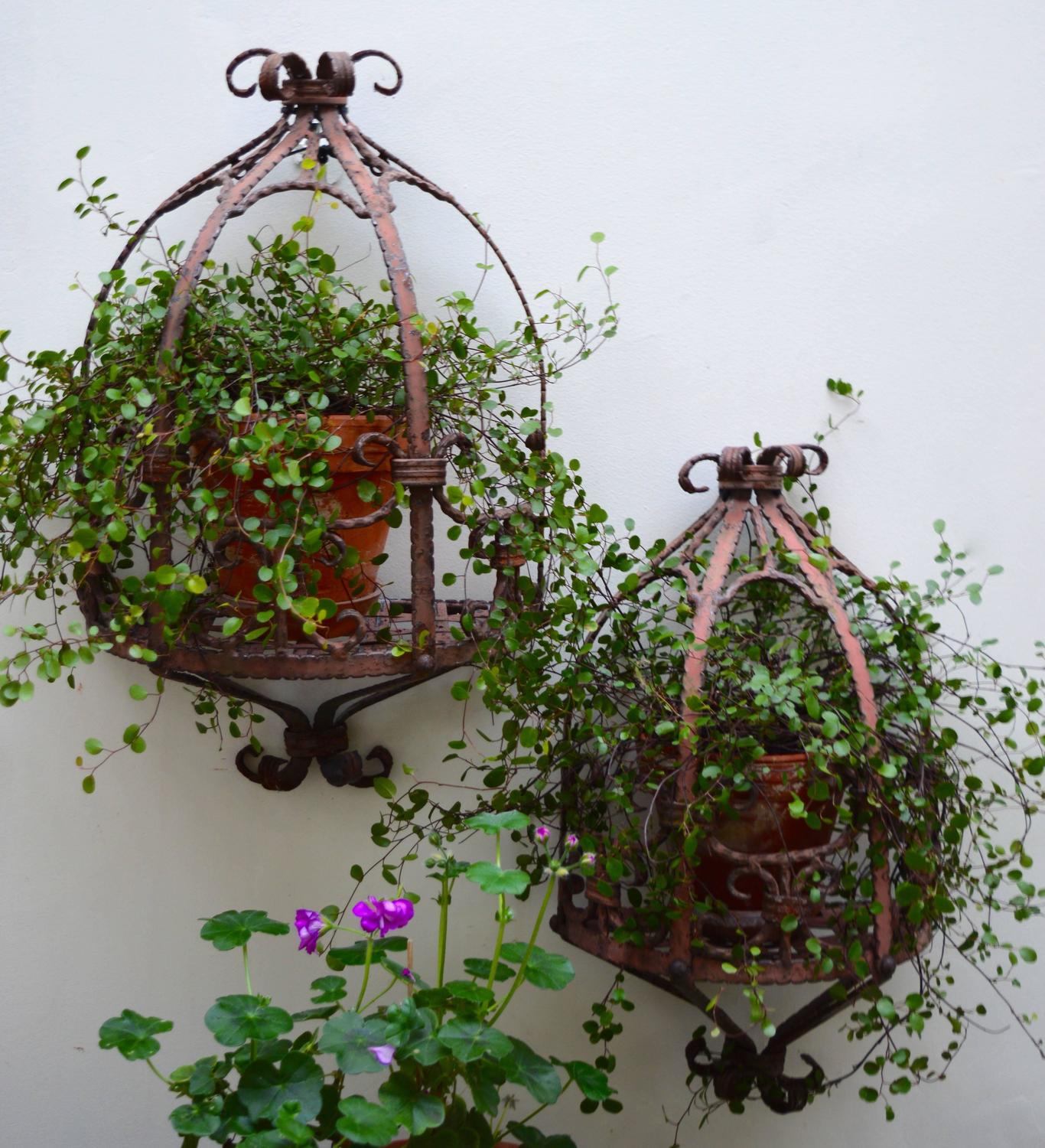 Two Wrought Iron Hanging Shelves or Plant Stands at 1stdibs