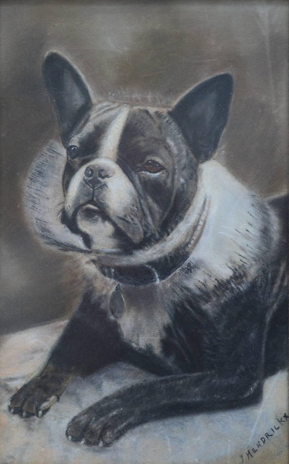 A pair of Belgian drawings of French bulldogs signed and dated 1932. Drawings executed in charcoal using the grisaille technique giving the drawings a photo-like feeling. The dogs are both wearing wide black badger-hair fringed collars.
These
