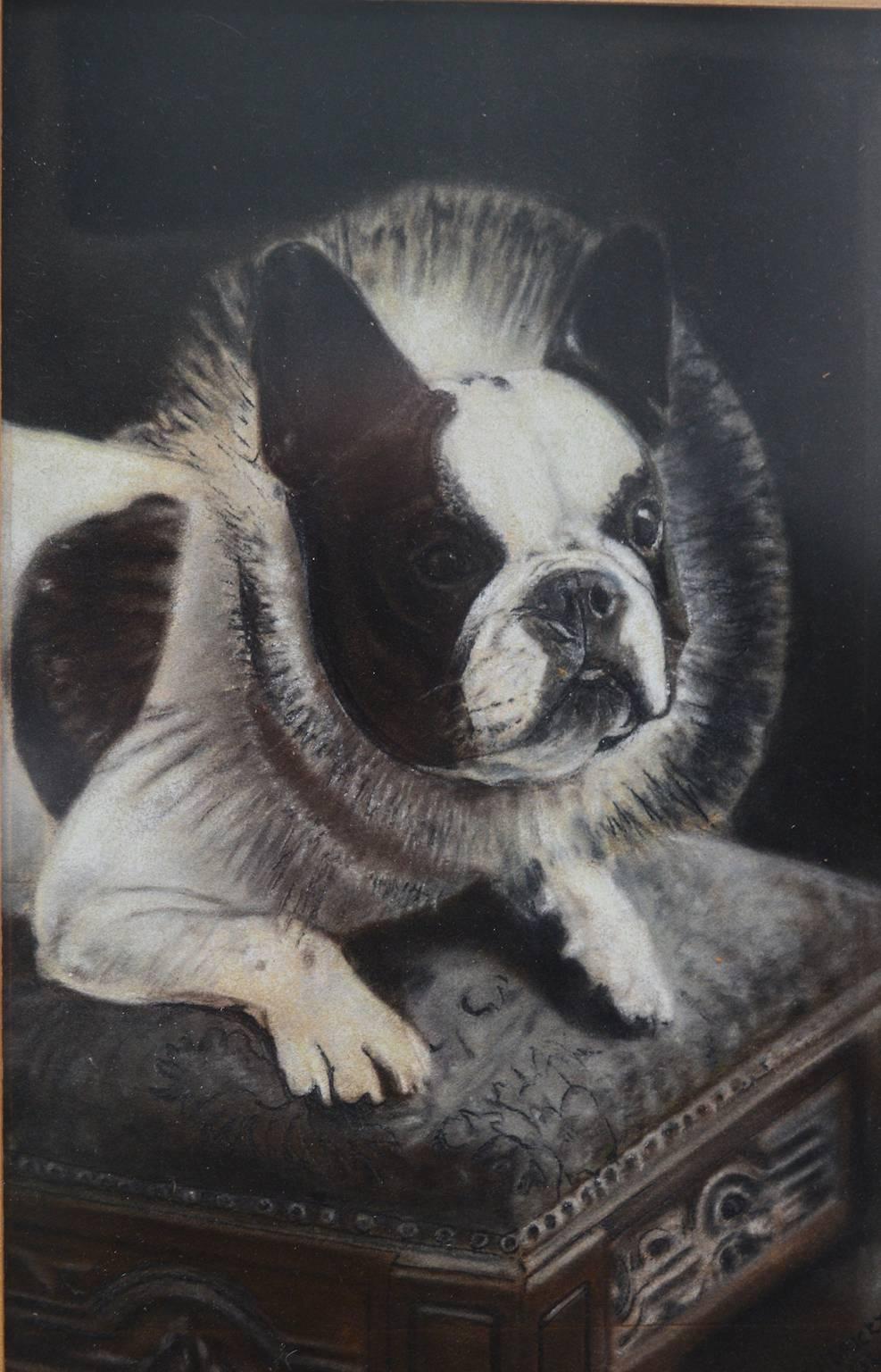 Pair of Grisaille Drawings on Paper of French Bulldogs 1