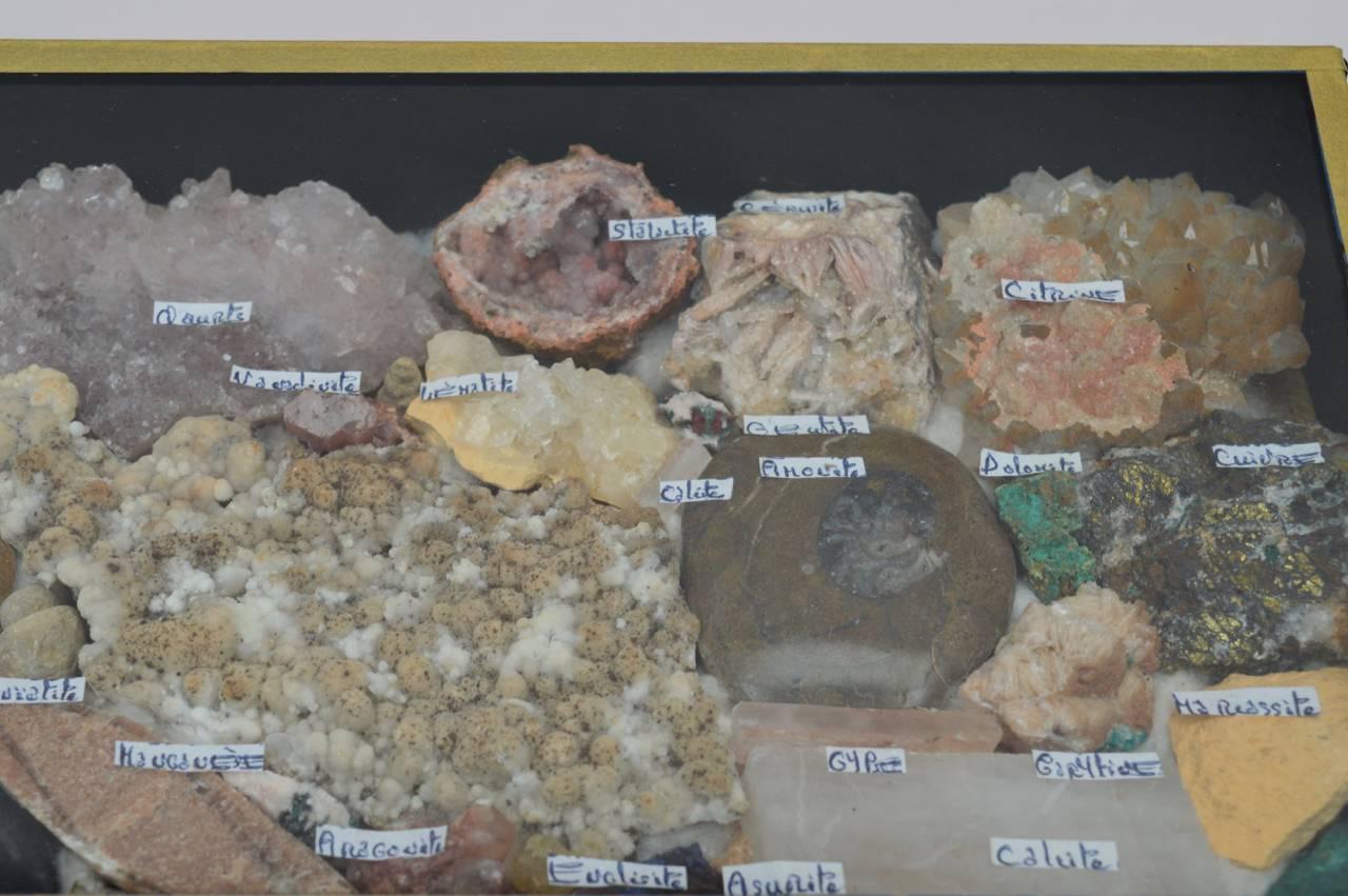 Belgian Vintage Rock and Mineral Collection