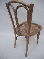 19th Century Cafe Chair Made by the Belgian Company Cambier Et Fils
