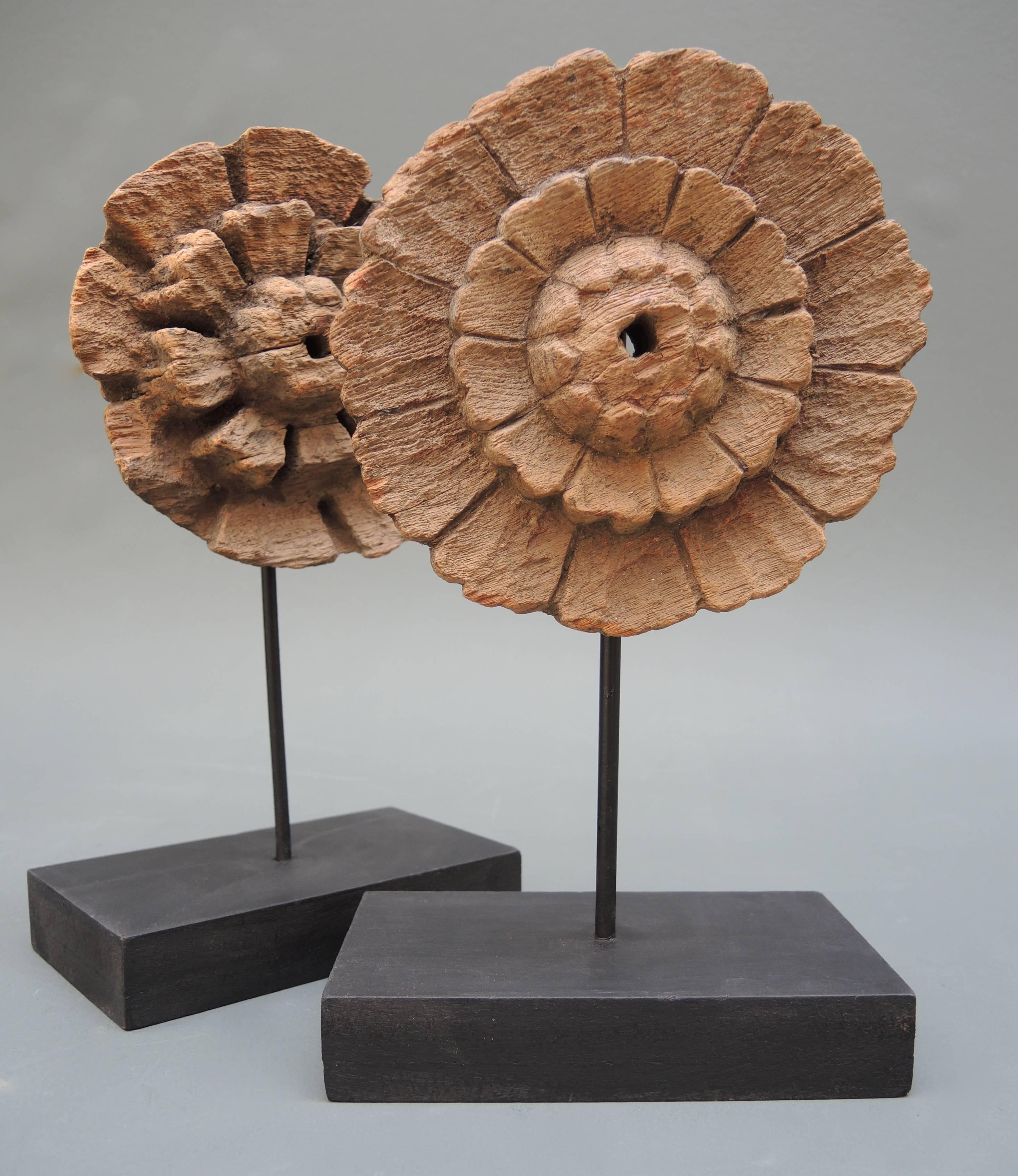 These two sunburst halos once adorned saint statues in Southern Italy.
The centre hole would fit onto a metal pin that protrudes from the top of the statues head. Mounted on stands.