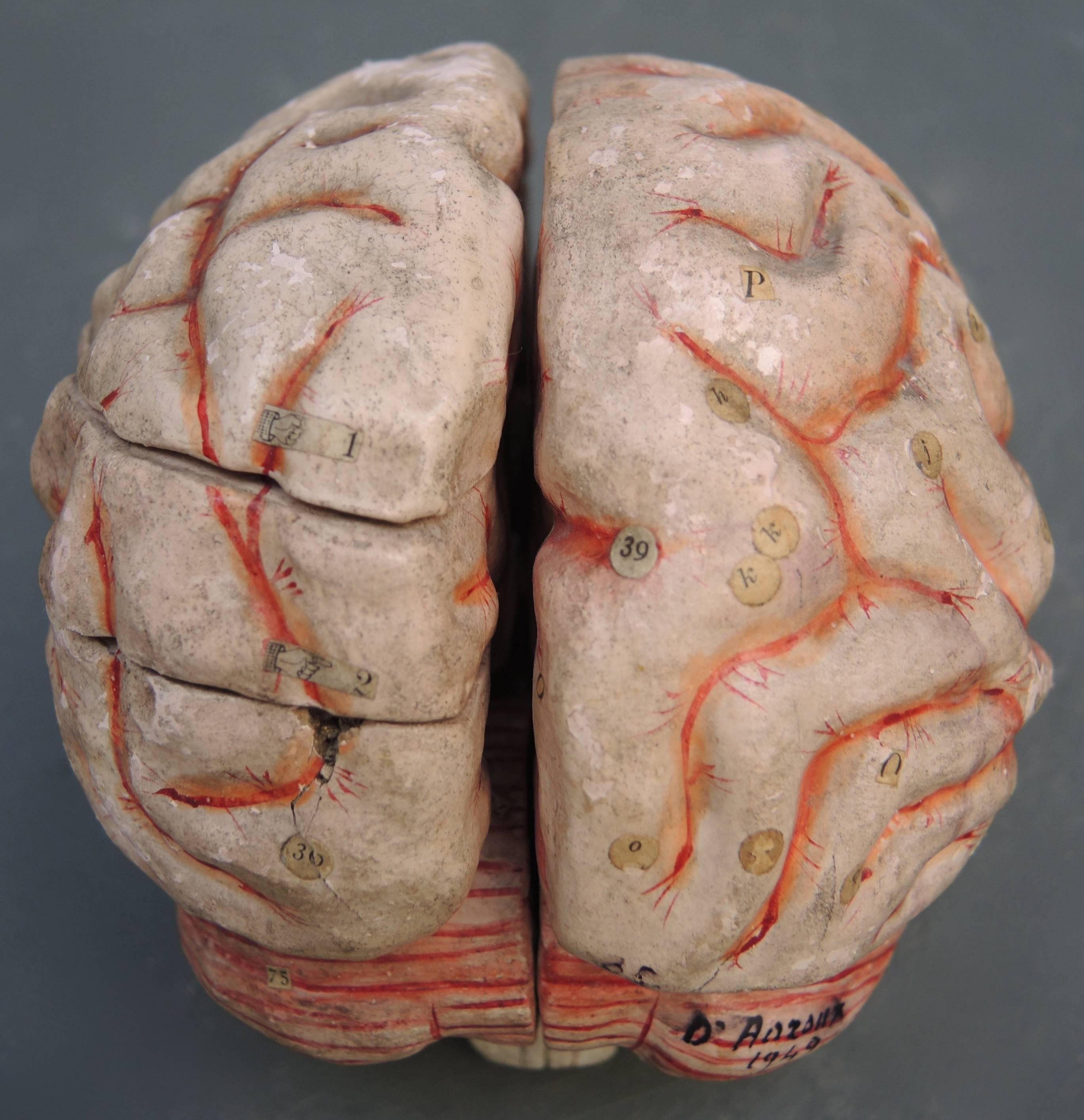 paper mache brain