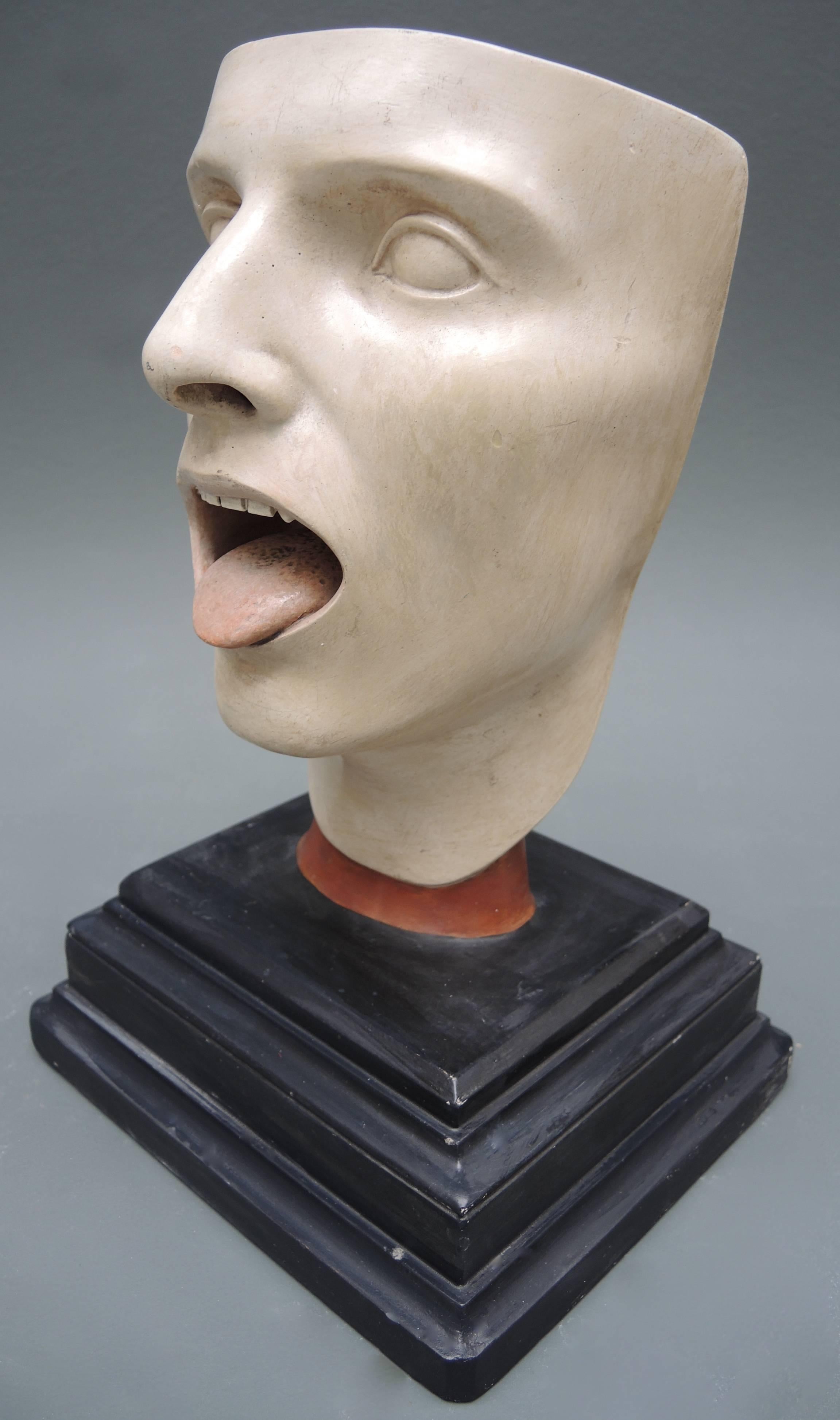 An anatomical model of the human head made in Leipzig, Germany by Bock-Steger Lips, circa 1890.
Painted plaster retaining the original brass label 