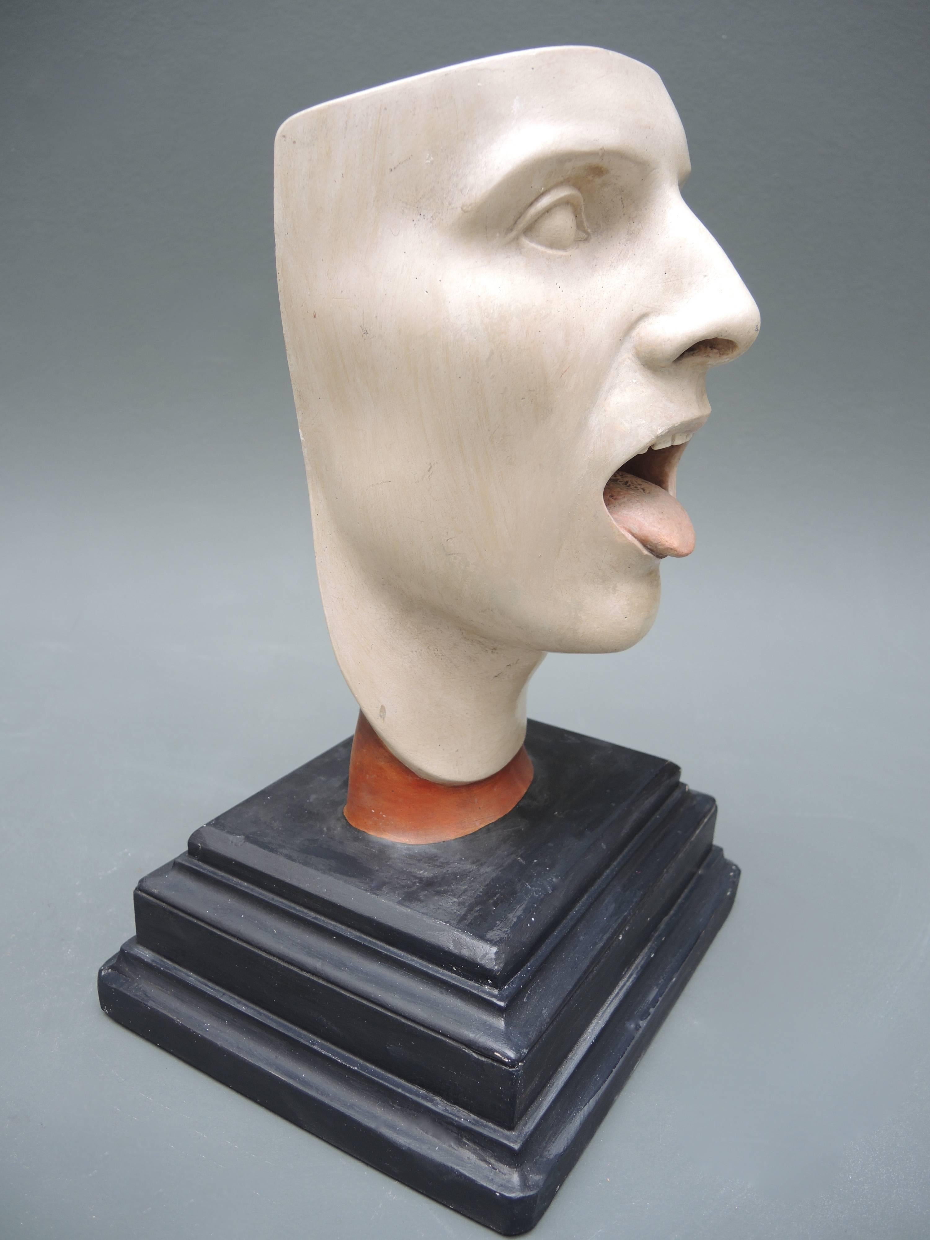 Cast 19th Century Anatomical Model of the Human Head by Bock-Steger Lips