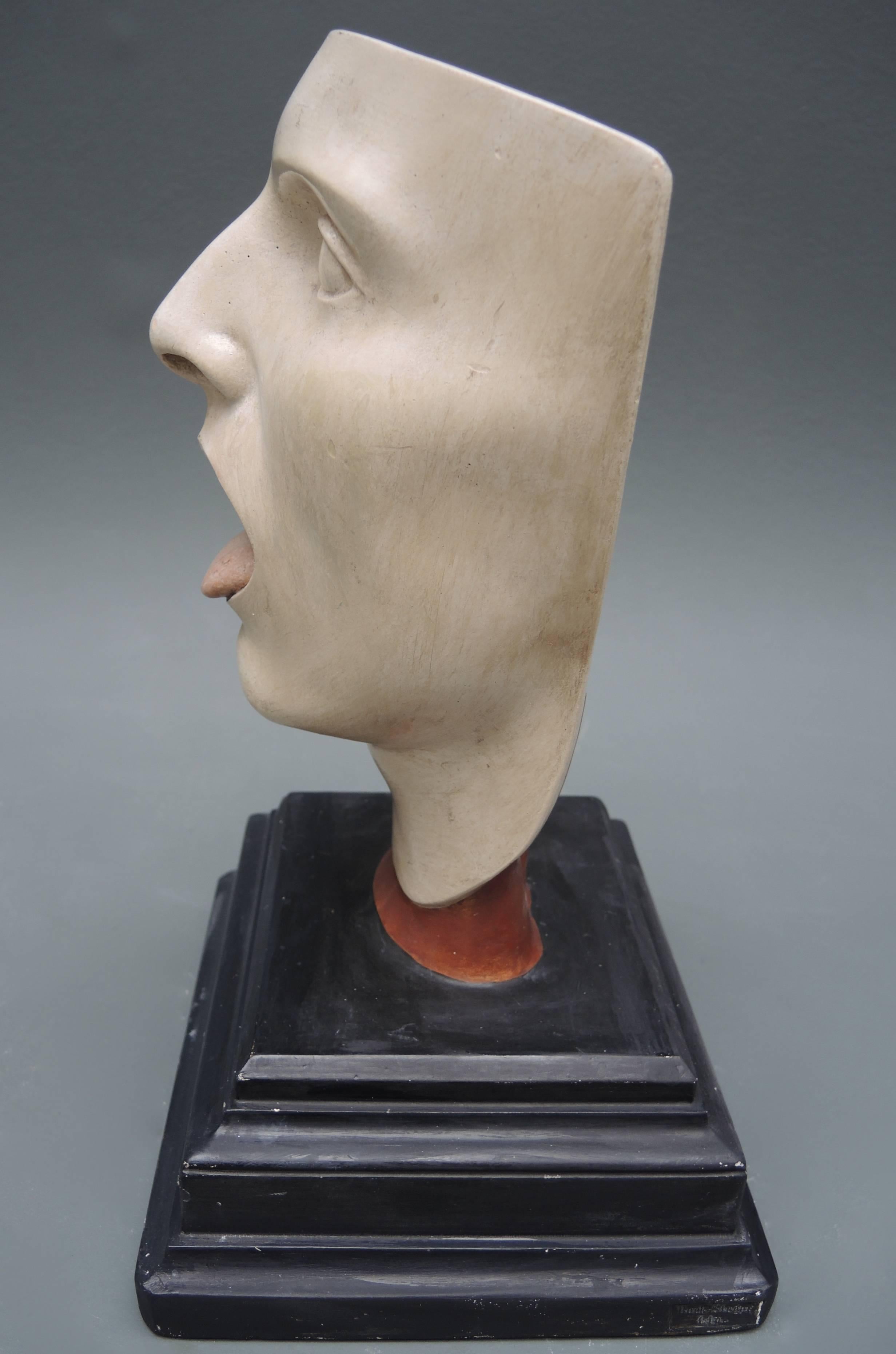 Plaster 19th Century Anatomical Model of the Human Head by Bock-Steger Lips