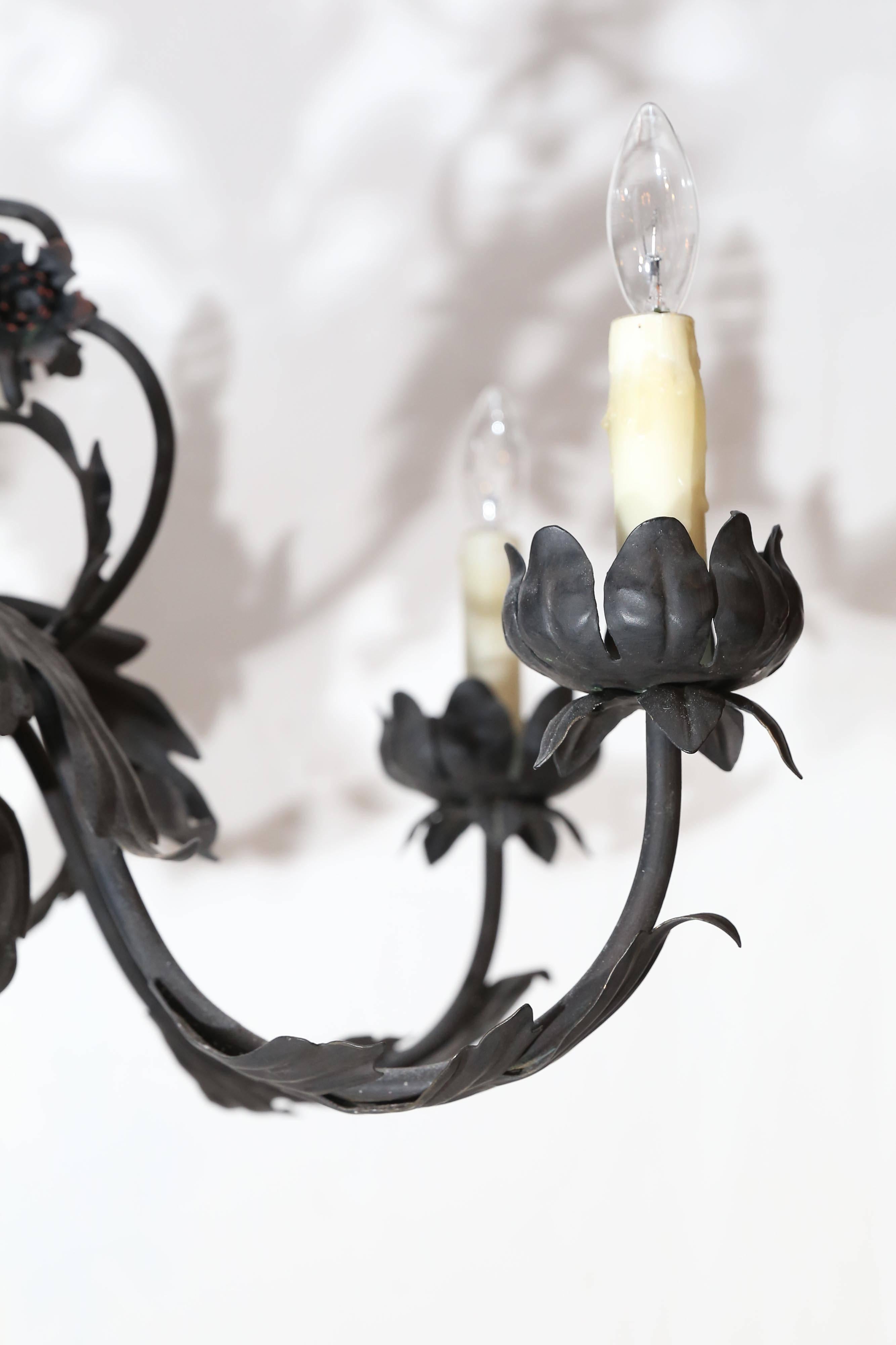 Matte black chandelier has cast acanthus leaves on six arms with small cast leaves for bobeche and on the bottom of chandelier.

 