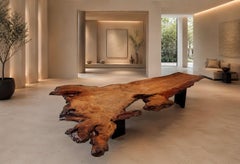 Ancient Kauri Table No. 194 — Complete Tree Form with Amber