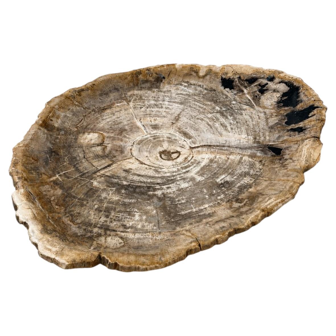 Petrified Wood Platter 18"