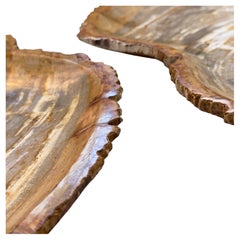 Set di 2 vassoi in legno pietrificato