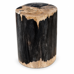 Sculptural Petrified Wood Side Table Organic Modern Fossil Stone Pedestal