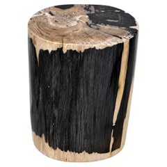 Sculptural Petrified Wood Side Table Organic Modern Fossil Stone Pedestal