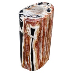 Petrified Wood Stump End Table with Organic Modern Design