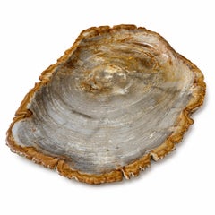 Centro de mesa con bandeja de madera petrificada natural de 20"
