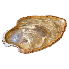 Rustic Natural Petrified Wood Platter with Polished Finish, Indonesia