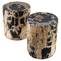 Petrified Wood End Tables Set of 2, Organic Modern Design, Indonesia