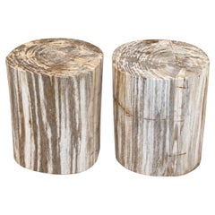 Ivory Petrified Wood End Tables, Set of 2, Organic Modern Style
