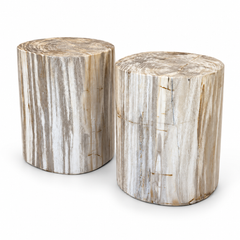 Ivory Petrified Wood End Tables, Set of 2, Organic Modern Style