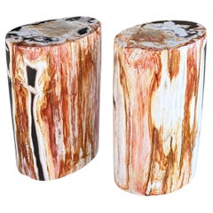 Petrified Wood End Tables Set of 2
