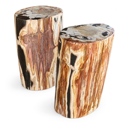 Petrified Wood End Tables Set of 2