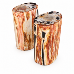 Petrified Wood End Tables Set of 2