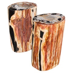 Petrified Wood End Tables Set of 2