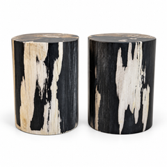 Petrified Wood End Tables Set of 2, Organic Modern Design