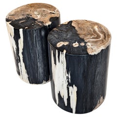Petrified Wood End Tables Set of 2, Organic Modern Design