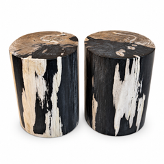 Petrified Wood End Tables Set of 2, Organic Modern Design