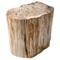 Branche de bois pétrifié, 6"