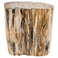 Branche de bois pétrifié, 6"