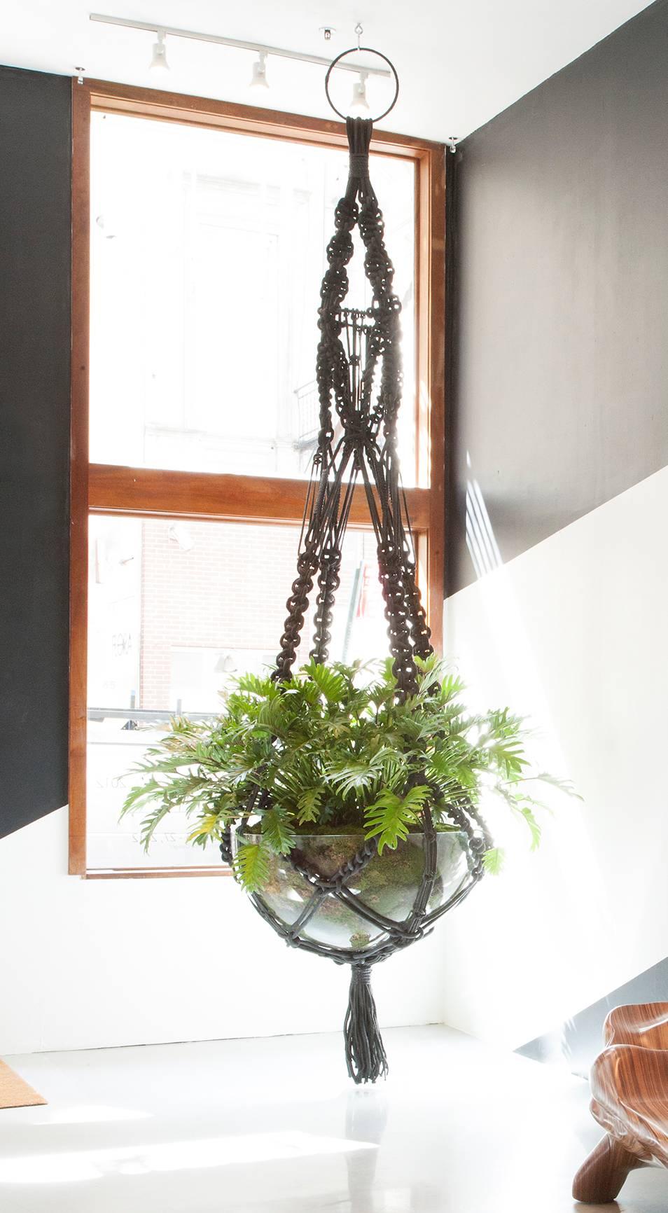 Large-scale hand-knotted macrame plant hanger available in custom sizes and colors with a variety of trims and ornamentation.
Price Listed is for 5'-6' Plant Hanger. Prices for larger sizes are as follows:

7 ' - 8 '    Plant Hanger:  $ 1,325.00
9 '