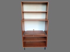 Mid-century modern teak audio cabinet designed by Cees Braakman for UMS Pastoe