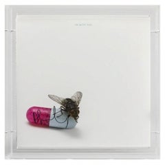 Damian Hirst-"I'm with you" (Red Hot Chili Peppers)-signed LP in plexiglass