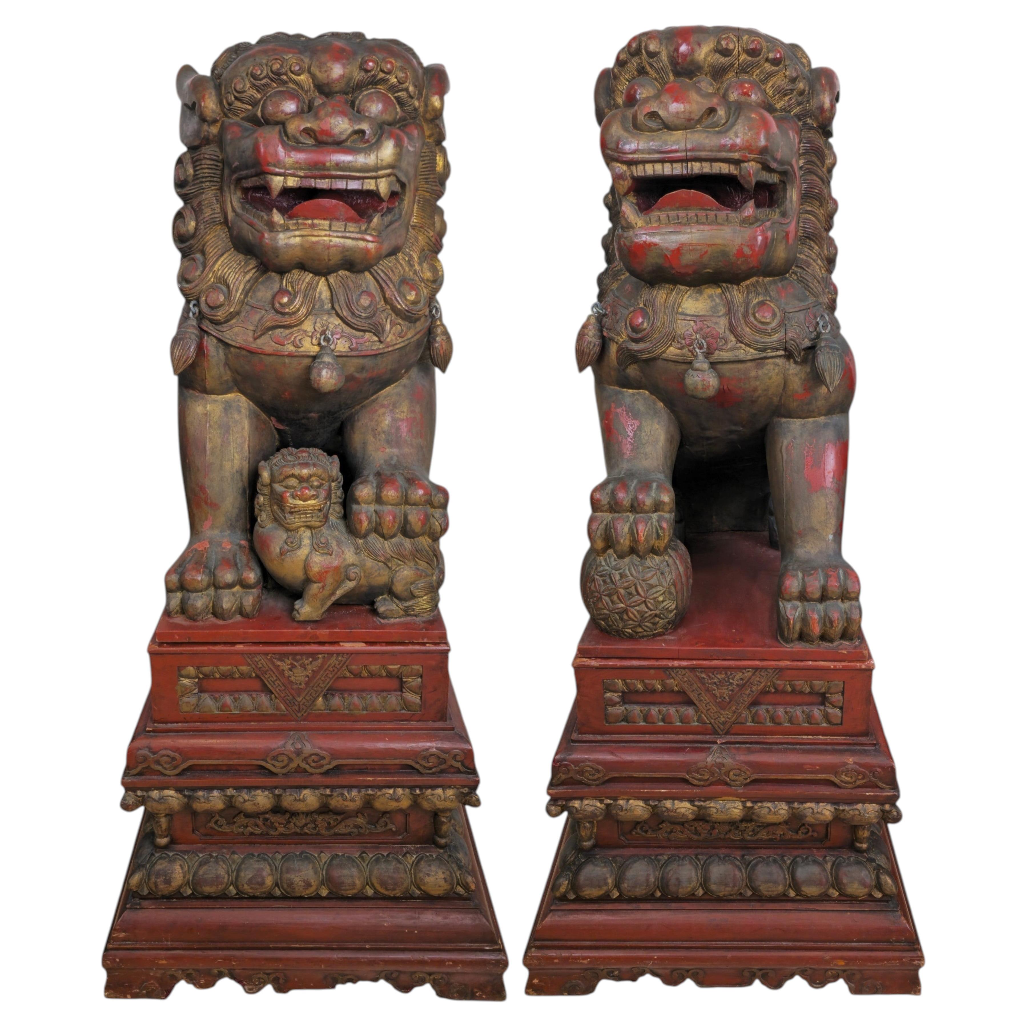 Monumentales, lebensgroßes Paar chinesischer Foo-Löwen aus rotem und vergoldetem Holz